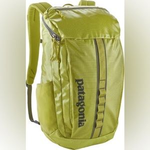 Patagonia Black Hole 25L Backpack - bright green